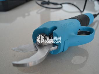 果樹修剪時，電動修枝剪助您一臂之力
